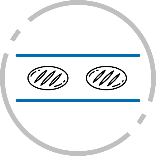 Bakery D-Vision: Feature, Single-channel, Reduction of image variables