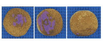 Bakery D-Vision: color and uniformity vision inspection
