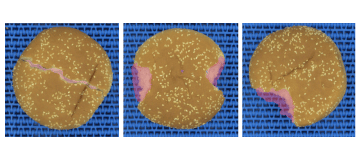Bakery D-Vision: 2D-figure vision inspection